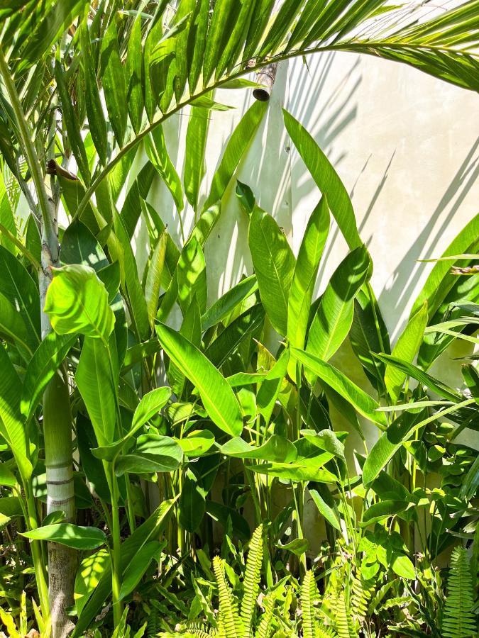 Las Flores Lombok Kuta  外观 照片